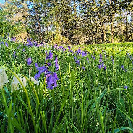 Tranquil Getaway Near Brecon Beacons Llandovery Exterior foto