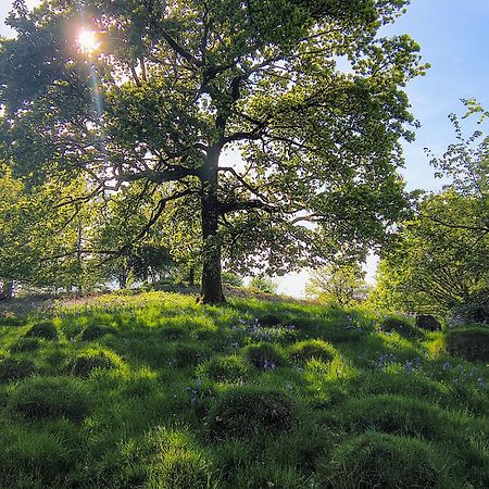 Tranquil Getaway Near Brecon Beacons Llandovery Exterior foto