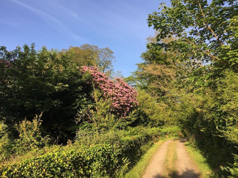 Tranquil Getaway Near Brecon Beacons Llandovery Exterior foto