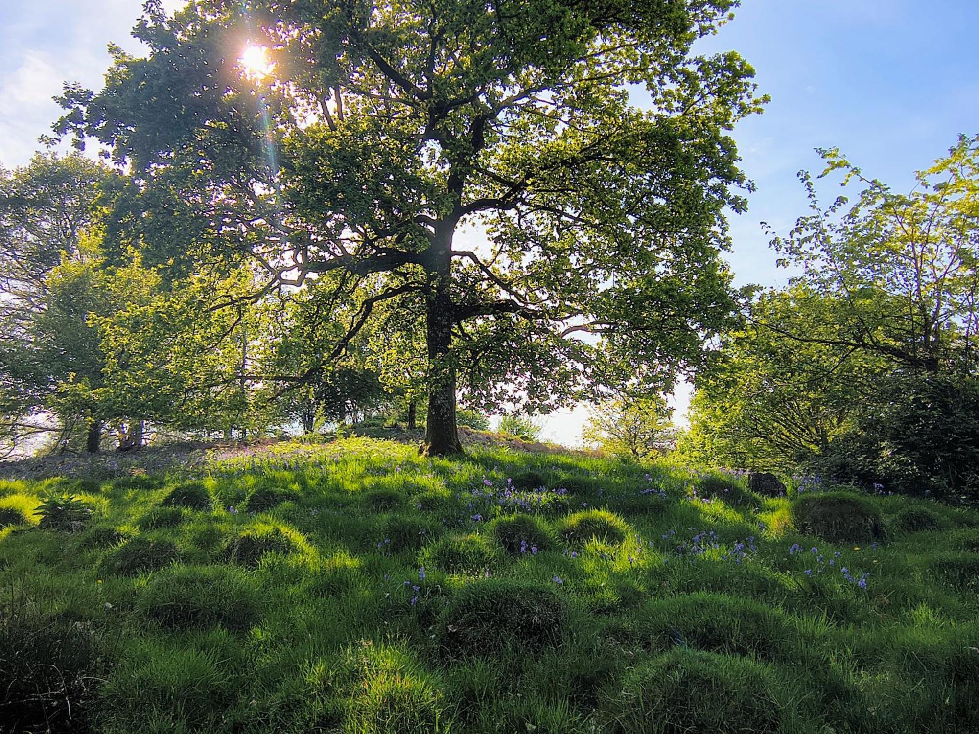 Tranquil Getaway Near Brecon Beacons Llandovery Exterior foto